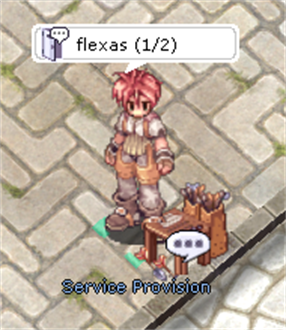 Service Provision — flechas