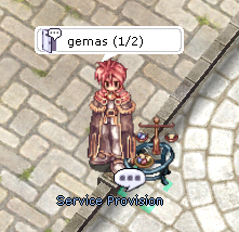 Service Provision — gemas