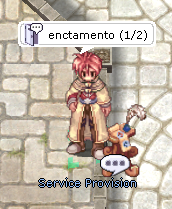 Service Provision — encantamento