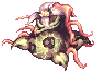 Mandragora