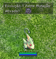 Exemplo de mutação ativada: Petite